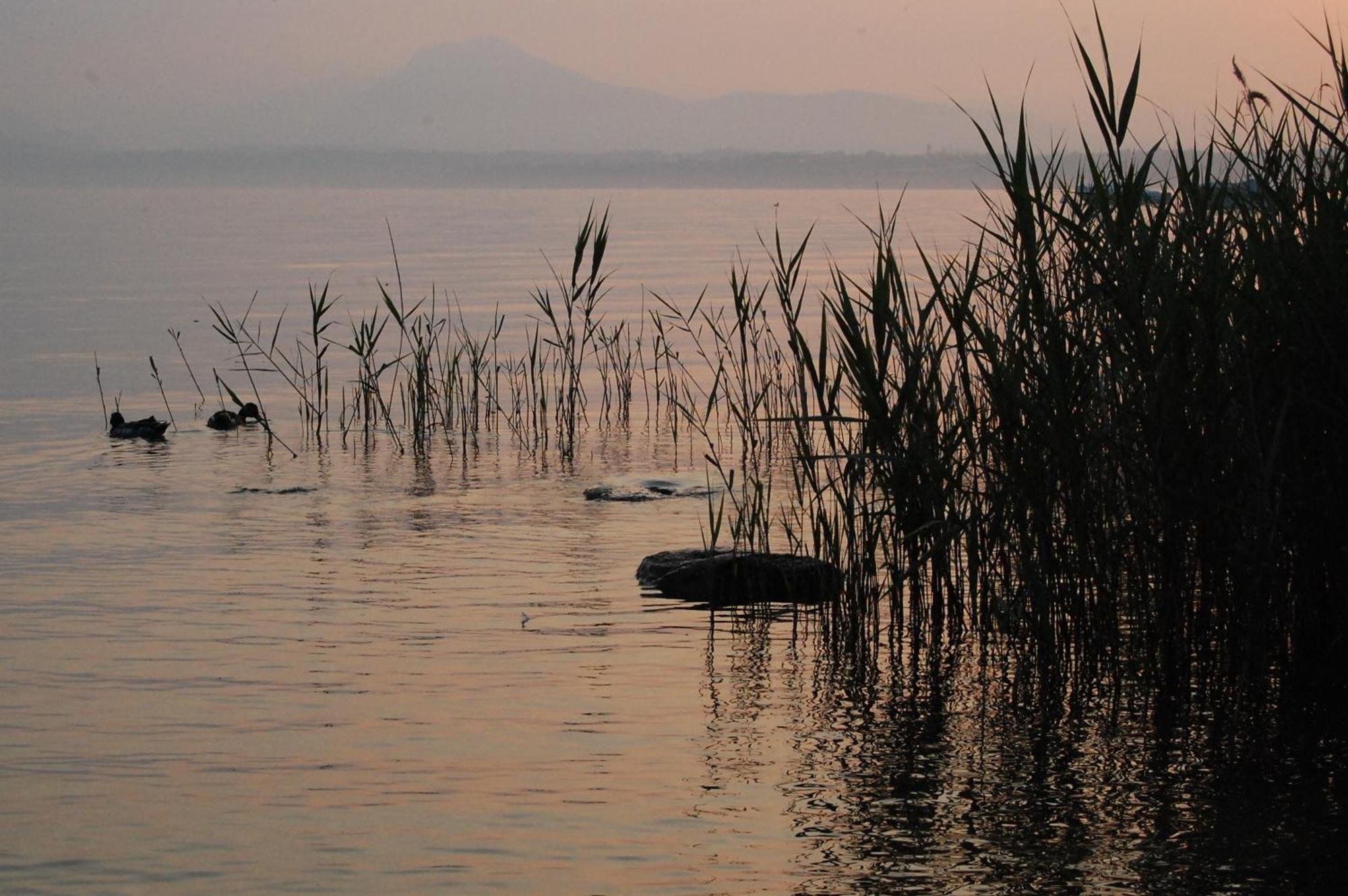 Frühstückspension Relais Corte Bergamini Peschiera del Garda